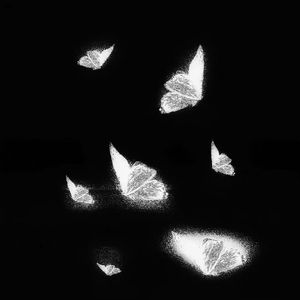 玄兵大战倾辛全部作品
